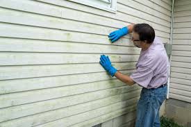 Best Vinyl Siding Installation  in Pumpkin Center, NC